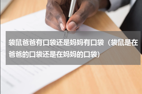 袋鼠爸爸有口袋还是妈妈有口袋（袋鼠是在爸爸的口袋还是在妈妈的口袋）