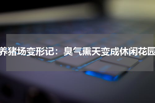 养猪场变形记：臭气熏天变成休闲花园