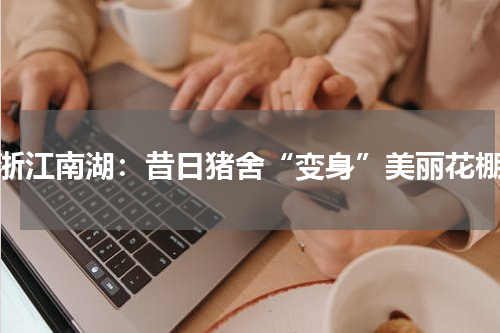 浙江南湖：昔日猪舍“变身”美丽花棚