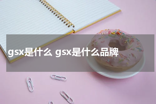 gsx是什么 gsx是什么品牌