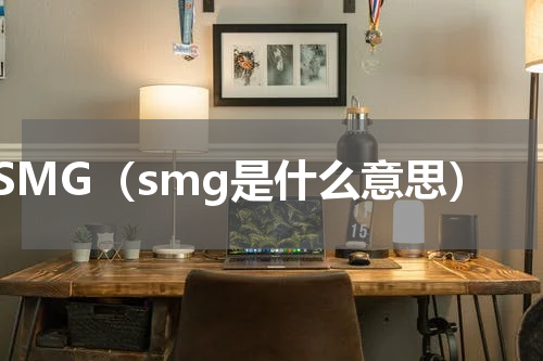 SMG（smg是什么意思）