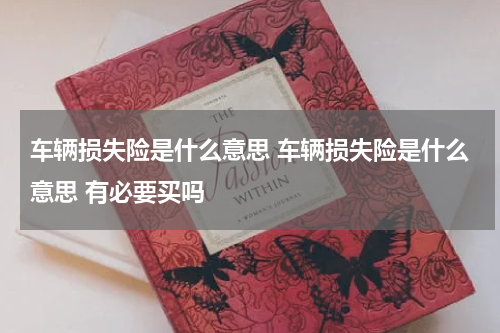 车辆损失险是什么意思 车辆损失险是什么意思 有必要买吗