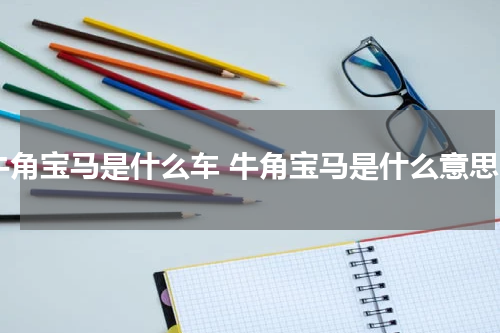 牛角宝马是什么车 牛角宝马是什么意思