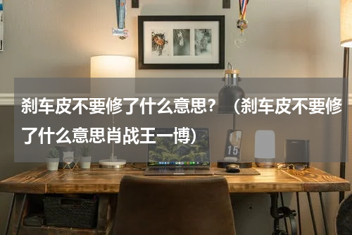 刹车皮不要修了什么意思？（刹车皮不要修了什么意思肖战王一博）