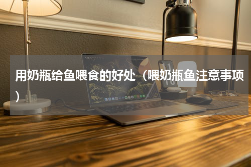 用奶瓶给鱼喂食的好处（喂奶瓶鱼注意事项）