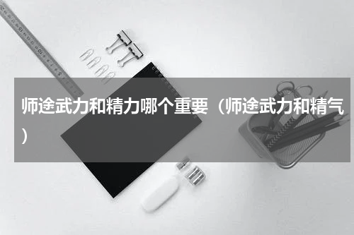 师途武力和精力哪个重要（师途武力和精气）