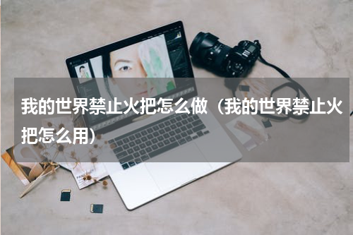 我的世界禁止火把怎么做（我的世界禁止火把怎么用）
