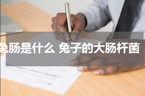 兔肠是什么 兔子的大肠杆菌