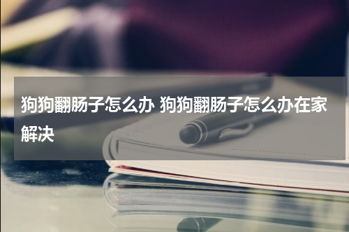 狗狗翻肠子怎么办 狗狗翻肠子怎么办在家解决
