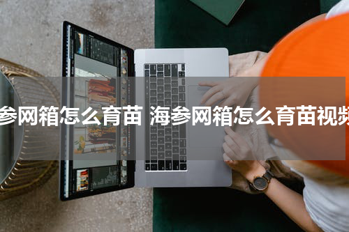海参网箱怎么育苗 海参网箱怎么育苗视频