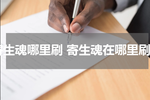 寄生魂哪里刷 寄生魂在哪里刷