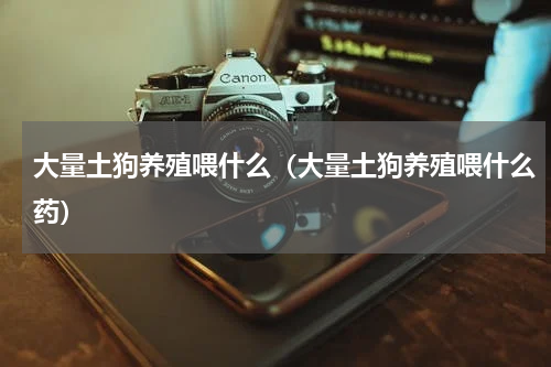 大量土狗养殖喂什么（大量土狗养殖喂什么药）