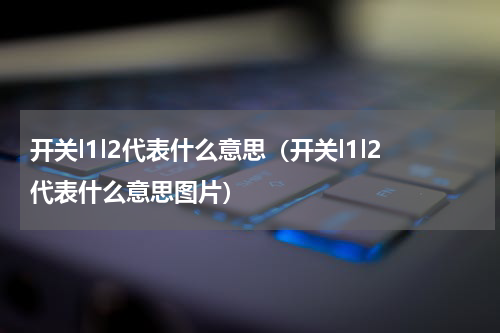 开关l1l2代表什么意思（开关l1l2代表什么意思图片）